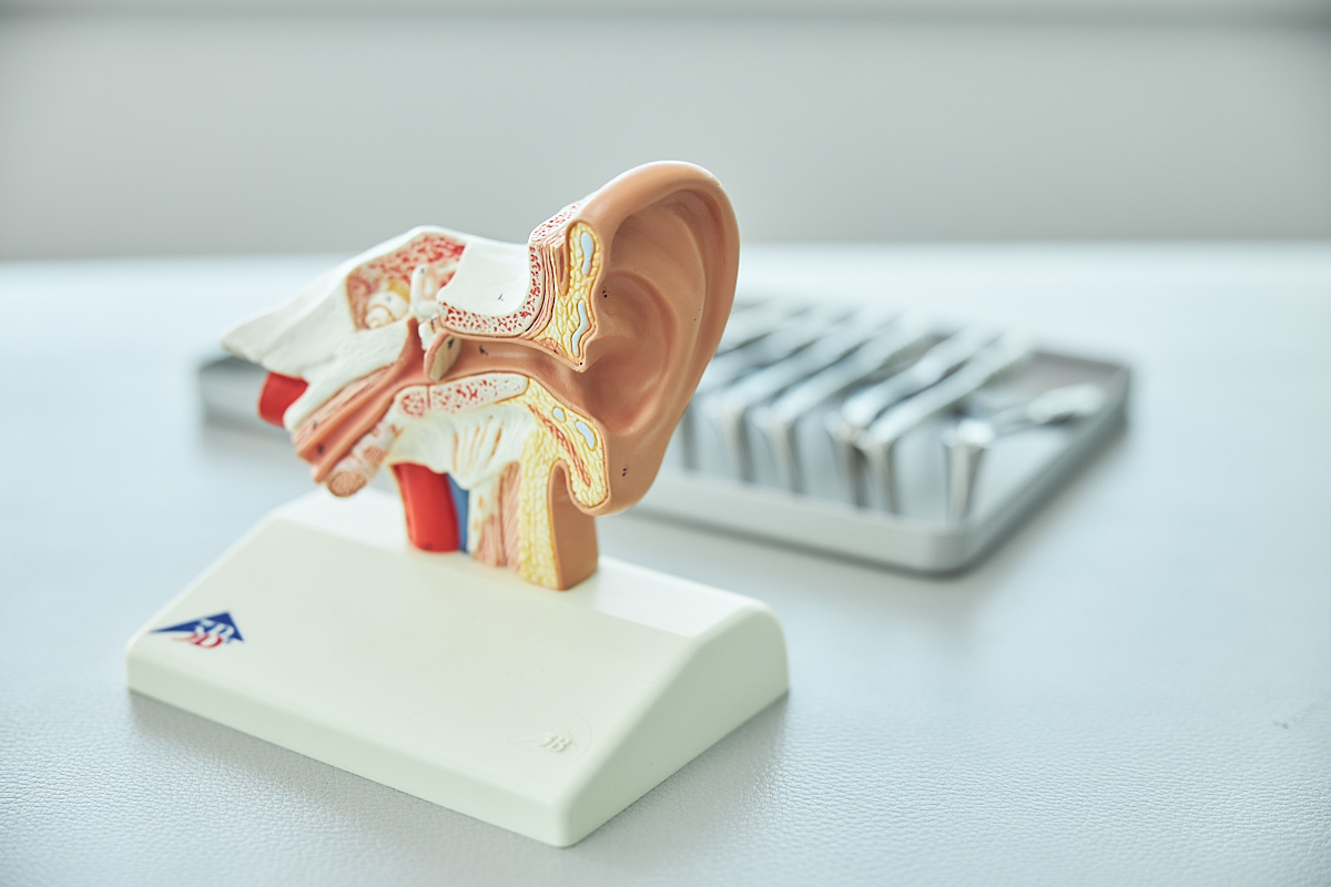 20240822_DAT_0572_1200Px_SW